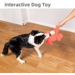 猫头鹰狗玩具生产厂家-天然橡胶益智零食分配互动