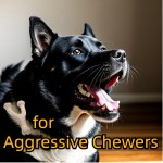 可降解狗骨头供应商-环保Y骨如愿骨强啃咬犬