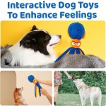 毛绒鹦鹉玩具源头工厂-发声器沙纸鸟磨牙宠物玩具