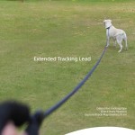 猫背带供应商-帆布牵引绳防逃脱透气按钮闭合