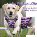 双宠物牵绳供应商-长项圈战术尼龙训练D环