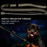 反光狗牵绳生产厂家-尼龙聚酯防爆缎带装饰