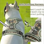 双宠物牵绳供应商-长项圈战术尼龙训练D环