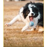 嗅闻垫供应商-蓝兔天鹅绒互动毛绒益智