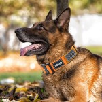 PVC便便袋支架生产厂家-双手自由便携可重复使用带扣