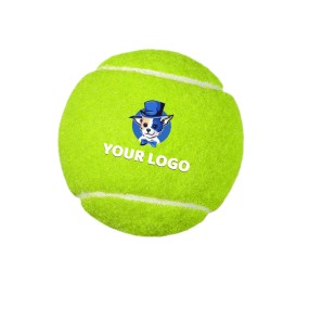 宠物应答蜂鸣器源头工厂-可录音通话沟通按钮