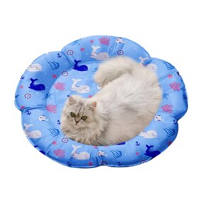 Puzzle Cooling Toy Manufacturer - Bite Freezable TPR Teether Cats Dogs