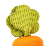 螃蟹狗玩具源头工厂-坚韧发声毛绒沙纸无填充