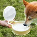 Outdoor Drinking Bottle Supplier - Eco-Friendly Collapsible Water Bowl Travel