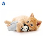 飞鼠玩具源头工厂-USB软电毛绒猫薄荷室内