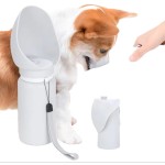 Dog Treat Mold Supplier - Dinosaur Non-Stick Silicone Food Grade Molds