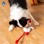 狗足球生产厂家-可持续橡胶充气水上浮力