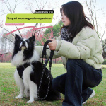 可堆肥便便袋生产厂家-环保玉米淀粉可降解