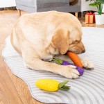 螃蟹狗玩具源头工厂-坚韧发声毛绒沙纸无填充