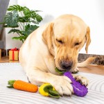 螃蟹狗玩具源头工厂-坚韧发声毛绒沙纸无填充