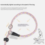 狗牵绳源头工厂-5米涤纶尼龙反光圆项圈批发