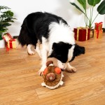 小丑鱼狗玩具供应商-橡胶耐咬声音磨牙嗅闻