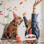 Dog Birthday Toy Supplier - Plush Cake Candle Decoration Gift Wholesale