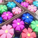 草莓狗玩具供应商-可持续橡胶咬胶零食分配