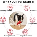 尼莫狗玩具生产厂家-沙纸发声小丑鱼橡胶大型犬
