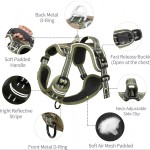 双宠物牵绳供应商-长项圈战术尼龙训练D环