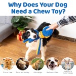 毛绒鹦鹉玩具源头工厂-发声器沙纸鸟磨牙宠物玩具