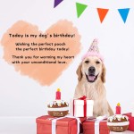 Dog Birthday Toy Supplier - Plush Cake Candle Decoration Gift Wholesale