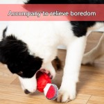 互动网球源头工厂-咬胶球磨牙解闷玩耍