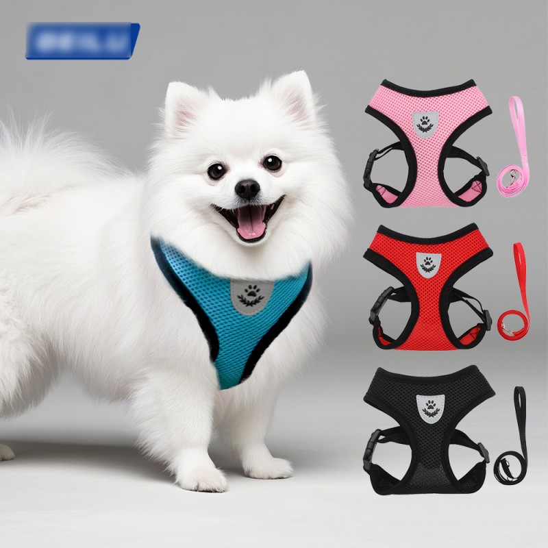 Pet Harness Set Supplier - Leather Adjustable Outdoor Sports Lead