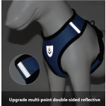 Pet Harness Set Supplier - Leather Adjustable Outdoor Sports Lead