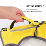 Large Dog Harness Manufacturer - Oxford Fabric No Pull Waterproof Custom