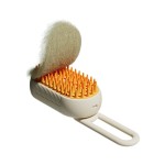 Pet Steam Brush Manufacturer - Electric Spray Massage Beauty Comb
