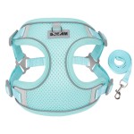 Dog Harness Vest Manufacturer - Unique Design Soft No-Choke Walking Set