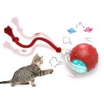 Electric Cat Ball Factory - Smart Self-Rolling Rechargeable Interactive