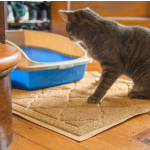 Cat Litter Mat Manufacturer - Indoor Non Slip PVC Coil Large