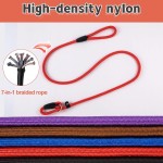 Dog Leash Set Supplier - Custom Paracord Rope Slip Lead