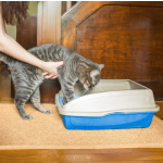 Cat Litter Mat Manufacturer - Indoor Non Slip PVC Coil Large