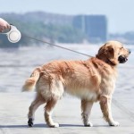 Pet Dog Leash Factory - One Touch Quick-Lock Reflective Nylon