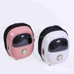 Pet Carrier Factory - Fashionable Astronaut Capsule Transparent