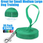 Dog Leashes Supplier - Custom Print Nylon Webbing Snap Hooks