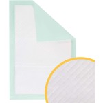 Pet Under Pad Supplier - Super Absorbent Disposable Pads