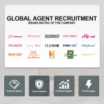 Bentonite Cat Litter Factory - Dust-Free Quick-Caking Highly Adsorbent