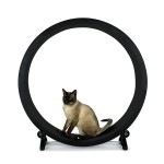 猫跑步机供应商-静音PP室内跑步轮抓挠功能