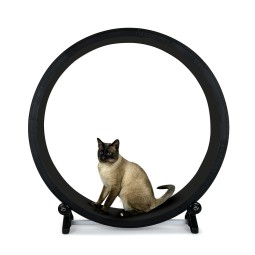 猫跑步机供应商-静音PP室内跑步轮抓挠功能