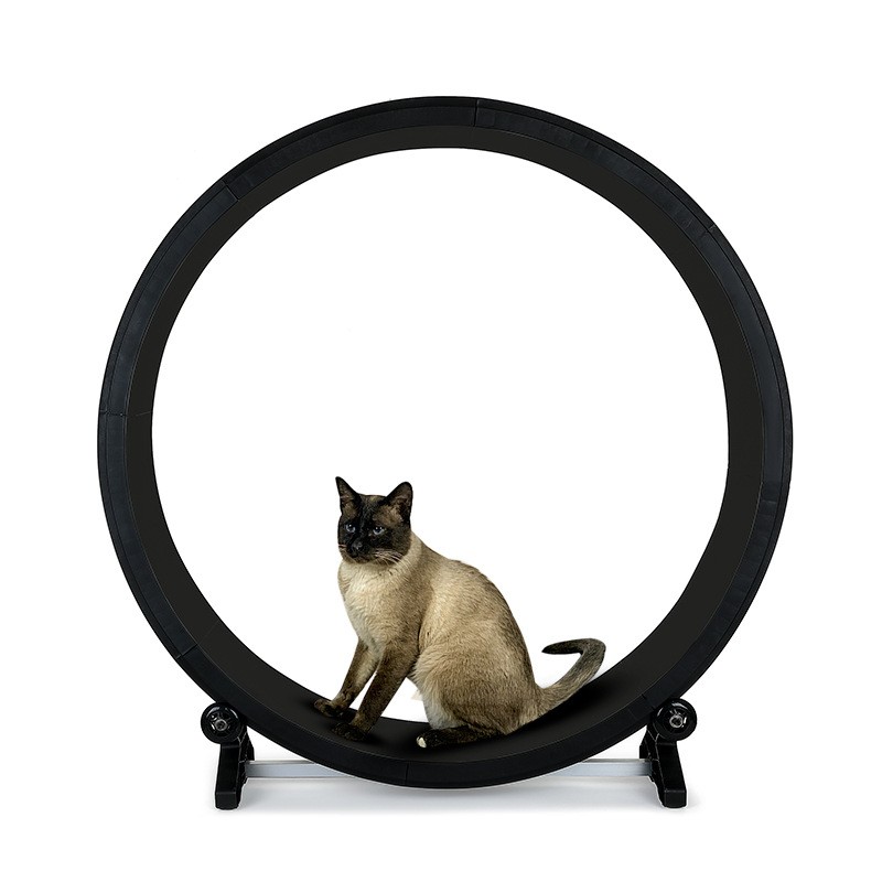 Cat Running Machine Supplier - Silent PP Indoor Exercise Wheel Scratch