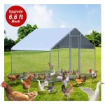 Pet Cage Supplier - Outdoor Large Metal Chicken Coop Walk-in Enclosure