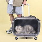 猫背包源头工厂-透明万向轮太空舱设计透气