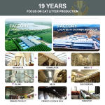 Bentonite Cat Litter Factory - Dust-Free Quick-Caking Highly Adsorbent