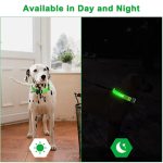 LED狗项圈生产厂家-可调闪光充电反光夜间产品