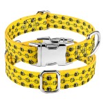 Cat Collar Supplier - Personalized Floral Engraved Breakaway